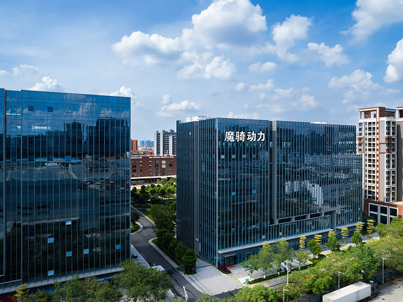 Vision of the company building